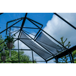 HALLS szklarnia ogrodowa ICON PLANTHOUSE 8 (9,7 m2; 2,55 x 3,79 m) czarna, szkło hartowane + baza